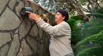 Cuidados contra a dengue devem ser reforçados durante as férias